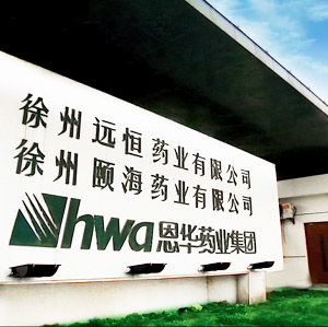 Company Profile